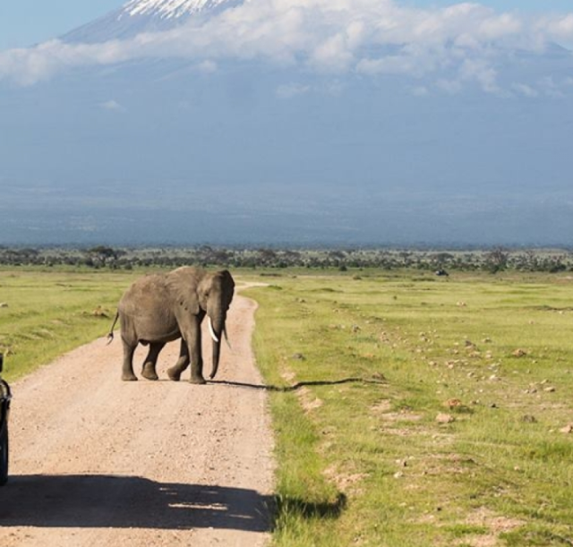 1-day-amboseli-national-park-safari3