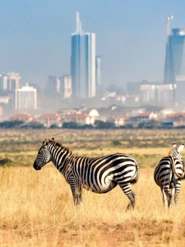 1-day-nairobi-national-park-safari