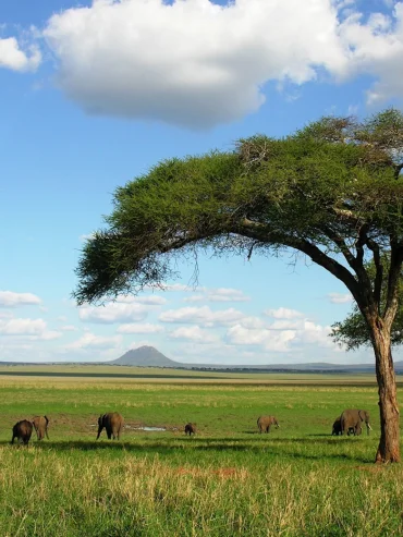 1-day-tarangire-national-park