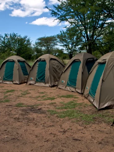 3-days-tanzania-camping-safari