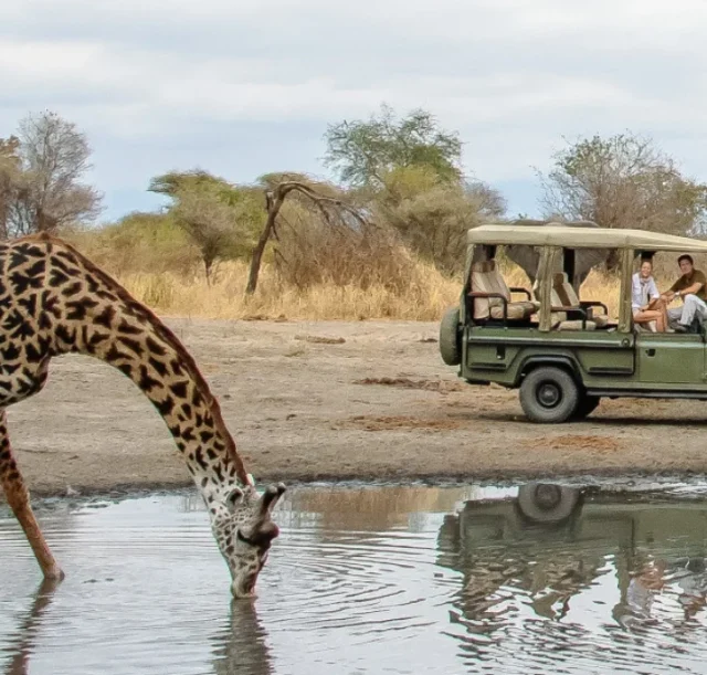 4-days-tanzania-luxury-safari1