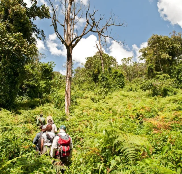 5-days-mahale-national-park1