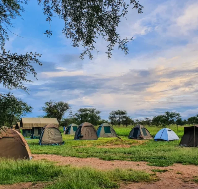 5-days-tanzania-camping-safari1