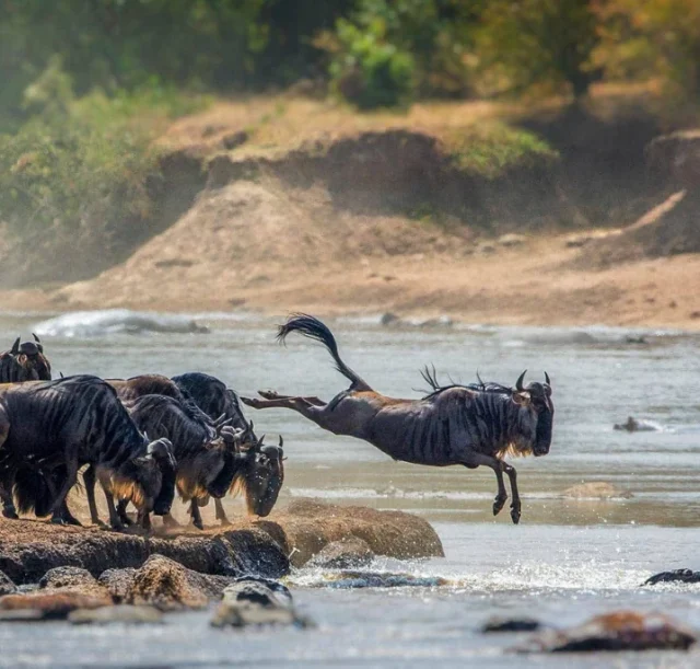 5-days-tanzania-camping-safari2