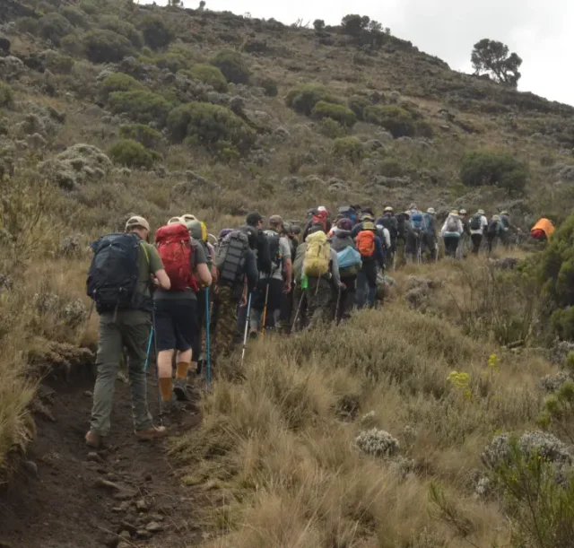 7-days-machame-route-2