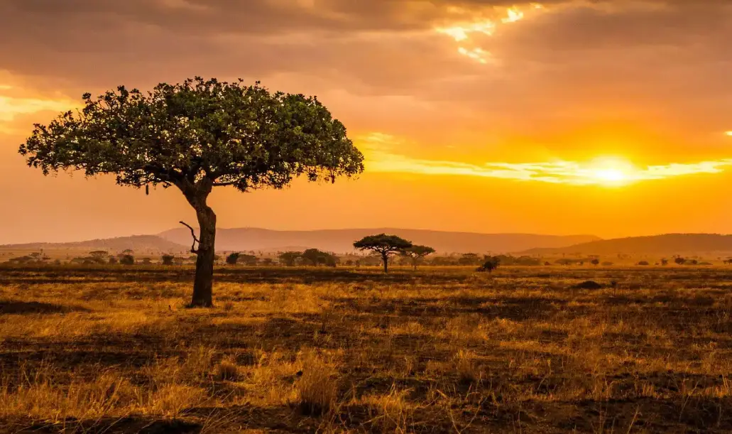 best-time-to-travel-tanzania-safari