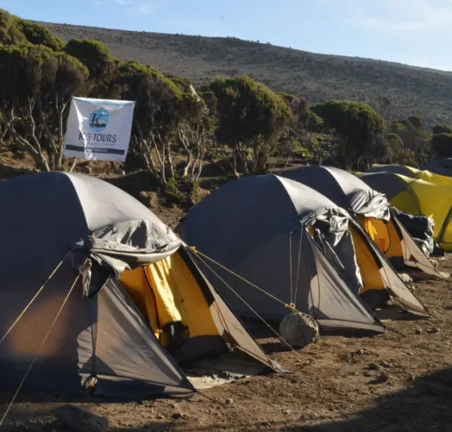 climbing-mount-kilimanjaro3