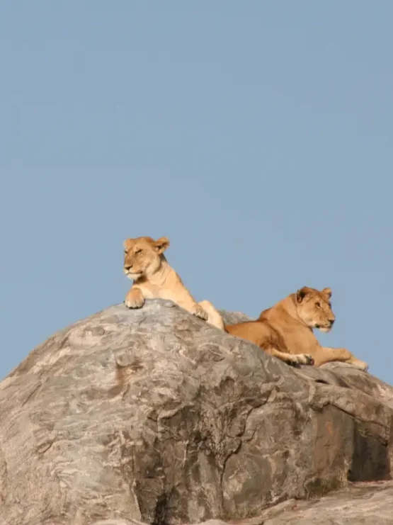 lakemanyara