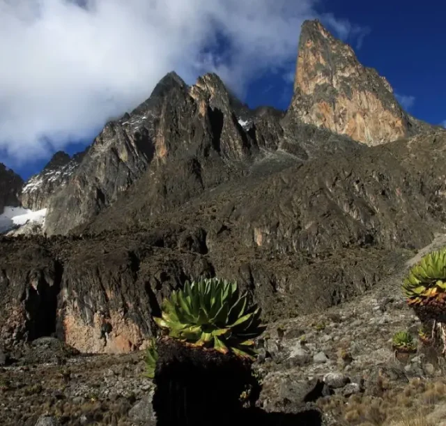 mount-kenya-climbing1