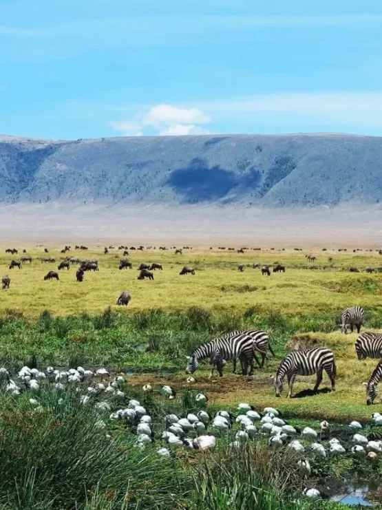 ngorongoro-crater