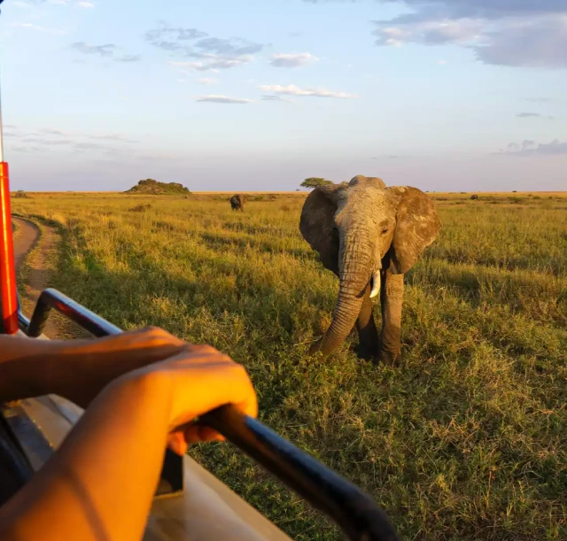 2-days-tarangire-and-ngorongoro-safari-2 2-days-tarangire-and-ngorongoro-safari-2
