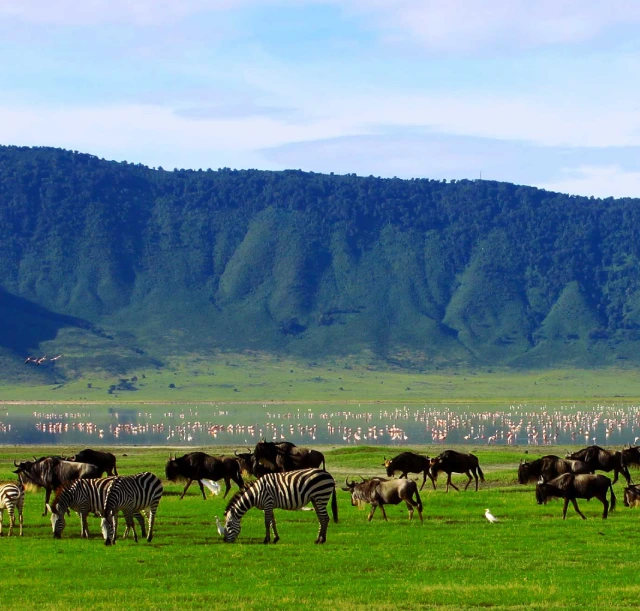 2-days-tarangire-and-ngorongoro-safari-3 2-days-tarangire-and-ngorongoro-safari-3