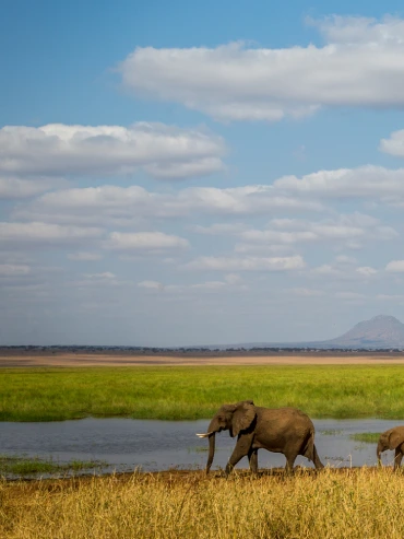 2-days-tarangire-and-ngorongoro-safari 2-days-tarangire-and-ngorongoro-safari