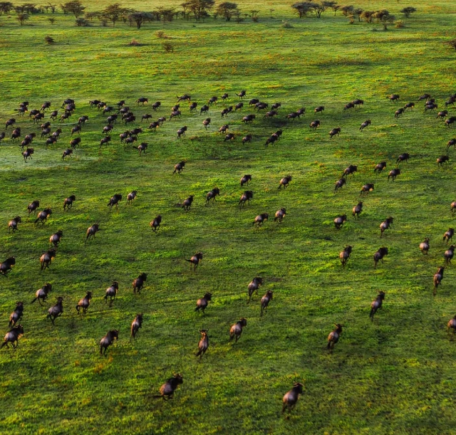 3-days-manyara-ngorongoro-and-tarangire-safari-1 3-days-manyara-ngorongoro-and-tarangire-safari-1