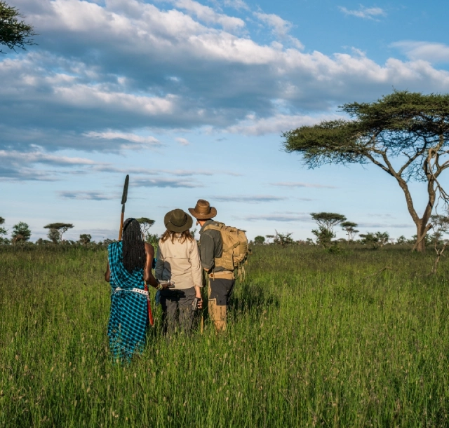 3-days-manyara-ngorongoro-and-tarangire-with-walking-safari-1 3-days-manyara-ngorongoro-and-tarangire-with-walking-safari-1