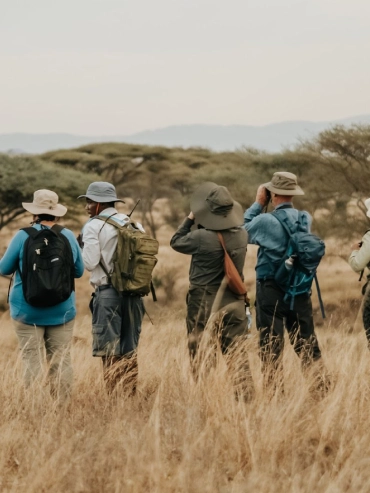 3-days-manyara-ngorongoro-and-tarangire-with-walking-safari 3-days-manyara-ngorongoro-and-tarangire-with-walking-safari
