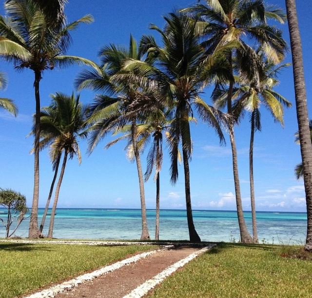 3-days-zanzibar-tours-2 3-days-zanzibar-tours-2