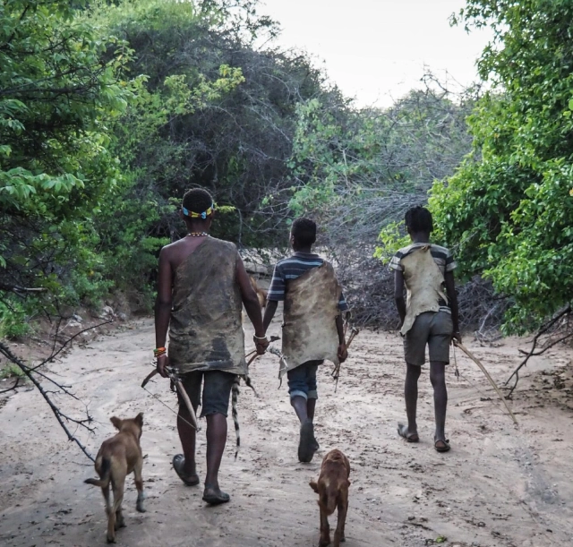 4-days-tarangire-manyara-ngorongoro-crater-and-lake-eyasi-cultural-safari-2 4-days-tarangire-manyara-ngorongoro-crater-and-lake-eyasi-cultural-safari-2