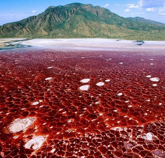 5-days-serengeti-lake-natron-and-ngorongoro-1 5-days-serengeti-lake-natron-and-ngorongoro-1