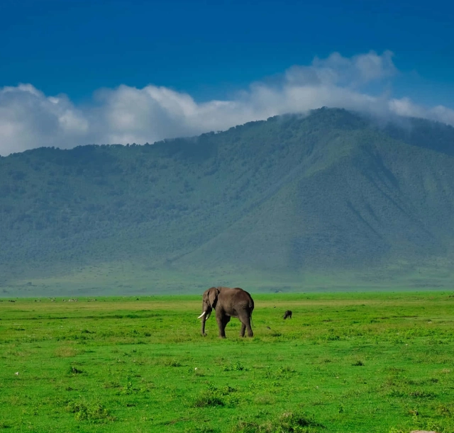 6-days-manyara-ngorongoro-serengeti-and-tarangire-3 6-days-manyara-ngorongoro-serengeti-and-tarangire-3