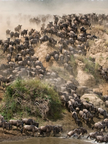 6-days-manyara-ngorongoro-serengeti-and-tarangire 6-days-manyara-ngorongoro-serengeti-and-tarangire
