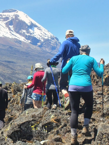 10-days-lemosho-route