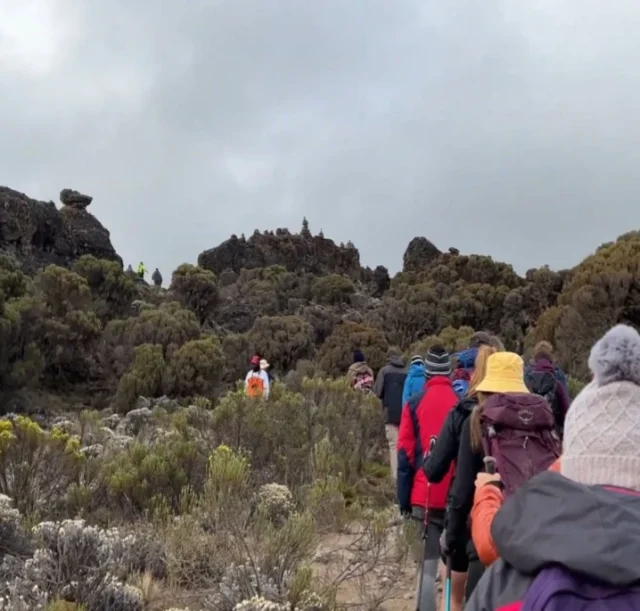 8-days-machame-route-3