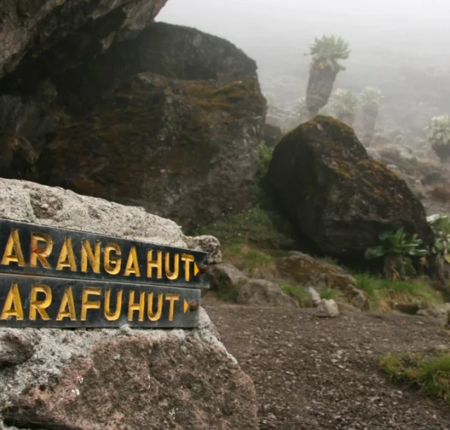 8-days-umbwe-route-1