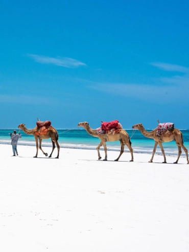 3-days-mombasa-beach-escape