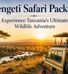 Serengeti Safari Packages: Experience Tanzania’s Ultimate Wildlife Adventure
