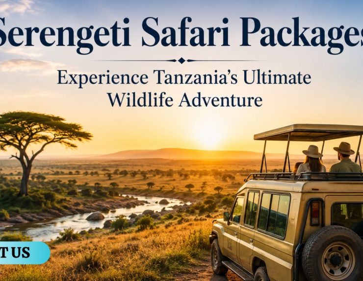 Serengeti Safari Packages