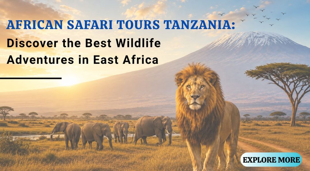 African Safari Tours Tanzania