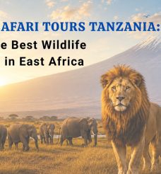African Safari Tours Tanzania: Discover the Best Wildlife Adventures in East Africa