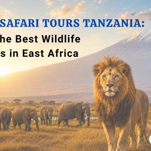 African Safari Tours Tanzania