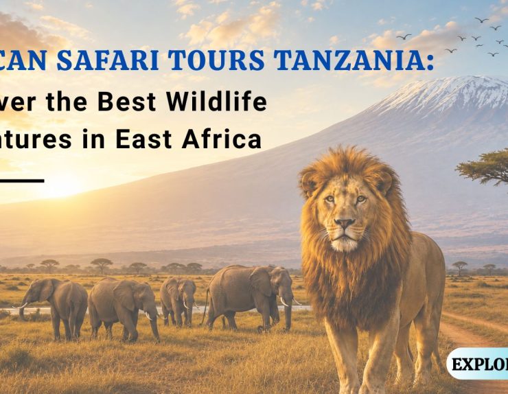 African Safari Tours Tanzania