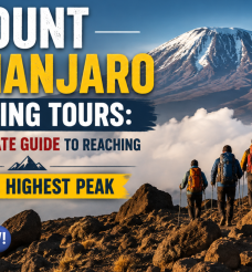 Mount Kilimanjaro Climbing Tours: Your Ultimate Guide to Reaching Africa’s Highest Peak