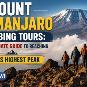 Mount Kilimanjaro Climbing Tours