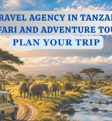 Best Travel Agency in Tanzania for Safari and Adventure Tours: Plan Your Trip