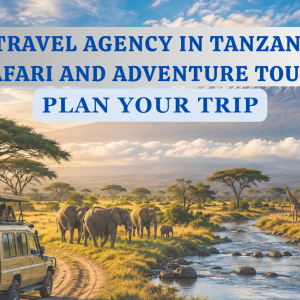 Best Travel Agency in Tanzania