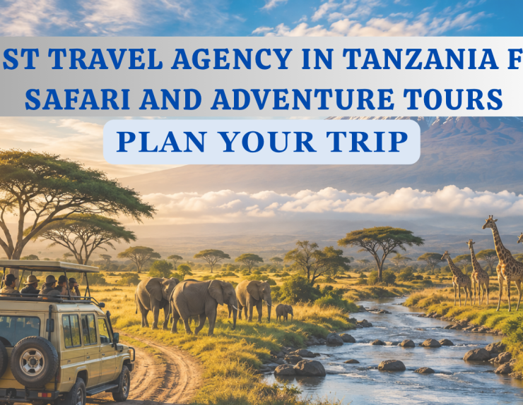 Best Travel Agency in Tanzania