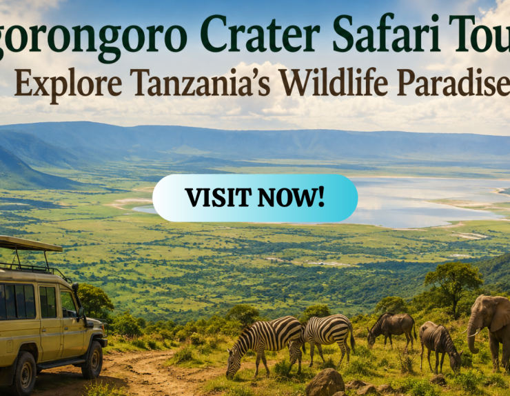 Ngorongoro Crater Safari Tours