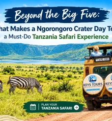 Beyond the Big Five: What Makes a Ngorongoro Crater Day Tour a Must-Do Tanzania Safari Experience
