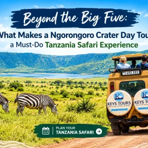 Tanzania Safari Tours