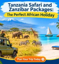 Tanzania Safari and Zanzibar Packages: The Perfect African Holiday