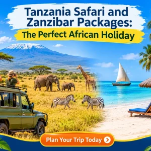 Tanzania Safari and Zanzibar Packages